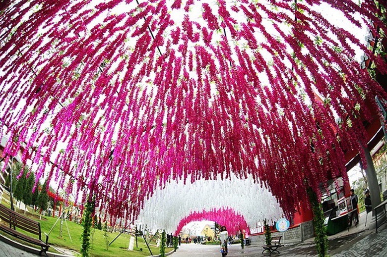 LE HOI KY QUAN MUON SAC HOA (4)