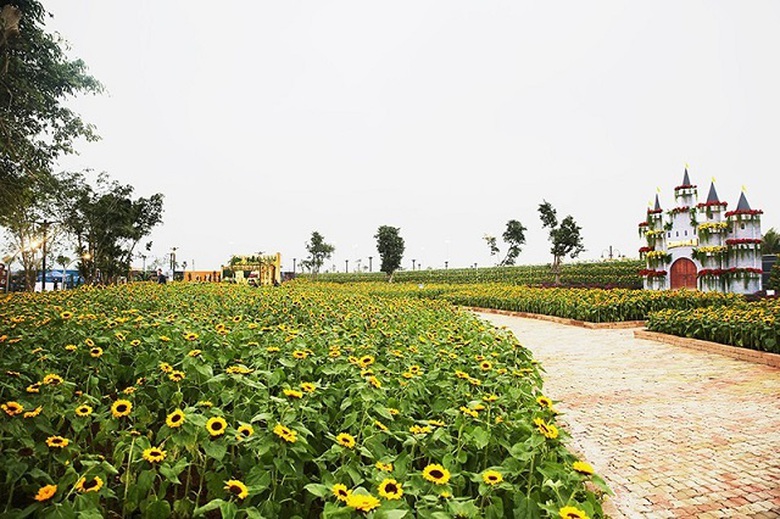 Le-Hoi-Ki-Quan-Muon-