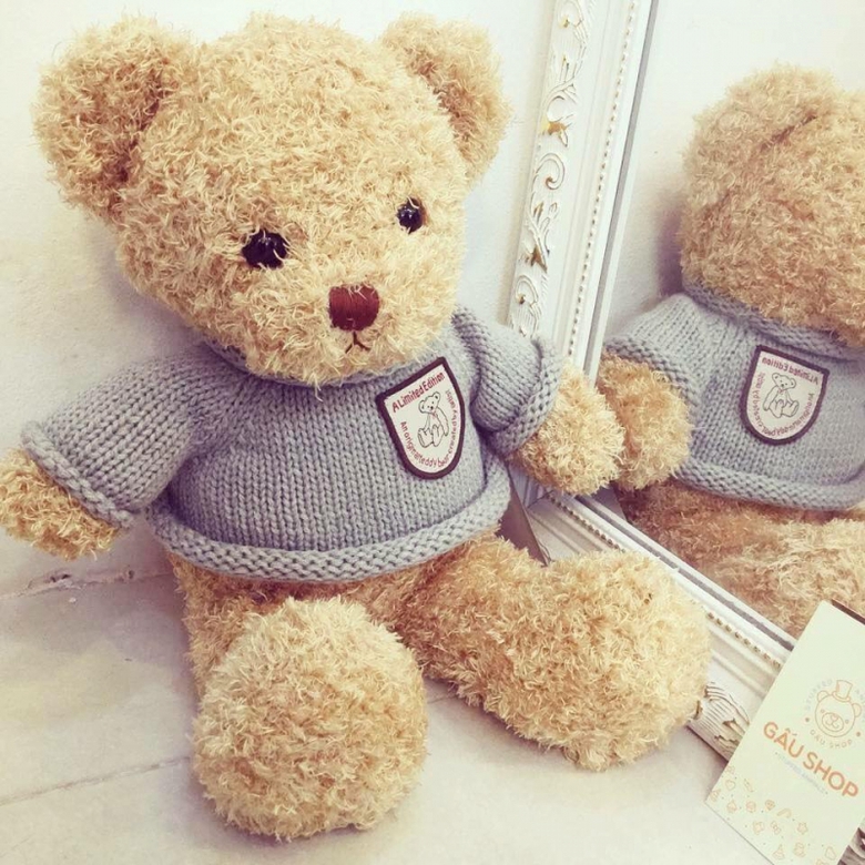 teddy shy ao 2