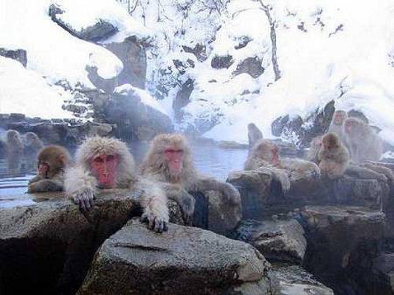 nhung-diem-tham-quan-hut-khach-cua-nhat-ban-11-ivi