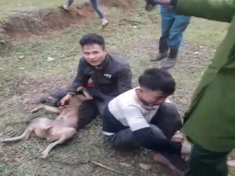Trom-cho-hai-cau-tac-bi-vay-danh-trong-thuong-tr--