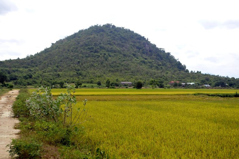 set-danh-hai-ong-chau-chet