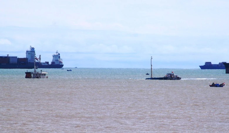 chim-tau-o-quy-nhon-5