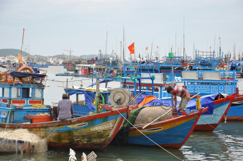 2253_ngYYi_dan_Khanh_Hoa_Yng_pho_bao_con_voi_9