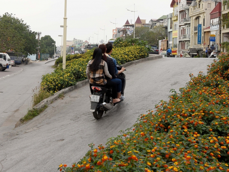 ly-do-ha-noi-de-xuat-ha-de-song-hong (7)