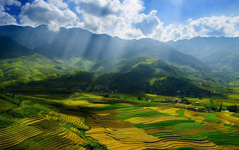 phuluongthanhhoa