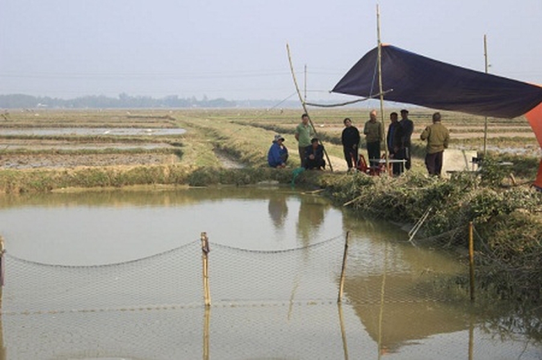 Hiện trường ao c&aacute; nơi c&aacute;c ch&aacute;u tử vong