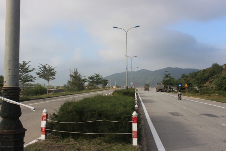 Trau- bo- gam- hang- loat- coc- be- tong- tren- du
