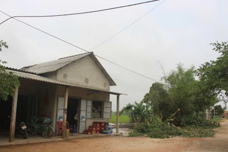 Chua- den- 10- phut- loc- xoay- thoi- bay- 320- ca