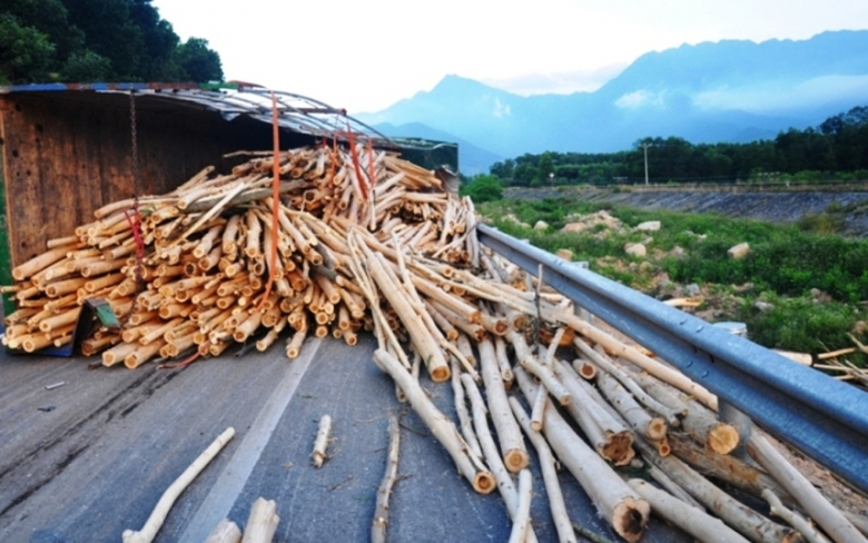 Xe- tai- cho- day- go- tram- nga- nhao- tren- duon