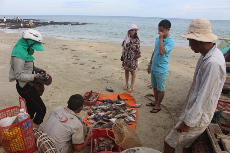 Bien- Quang- Tri- khong- con- diu- hiu- trong- dip