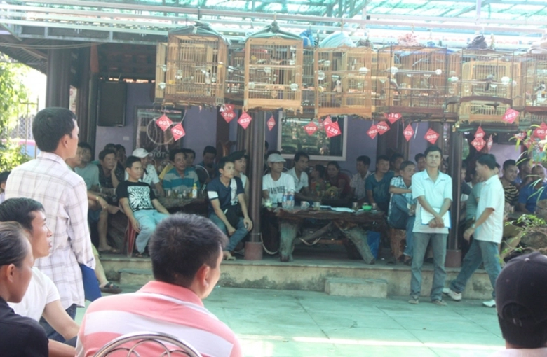 Den- ca- phe- truong- chim- nghe- chim- chao- mao-