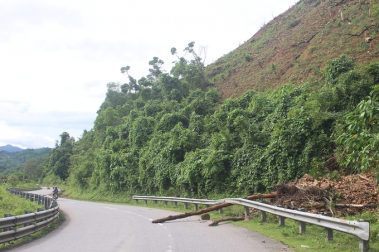 Anh- Mua- lon- sat- lo- hang- loat- vi- tri- duong