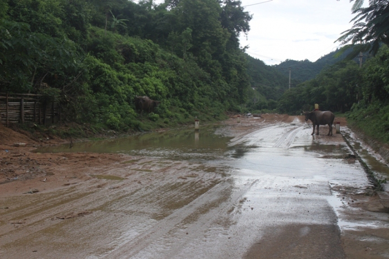 Anh- Mua- lon- sat- lo- hang- loat- vi- tri- duong