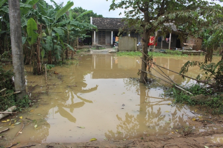 Quang- Tri- Ron- lu- Cam- Tuyen- sau- lu- du- 2