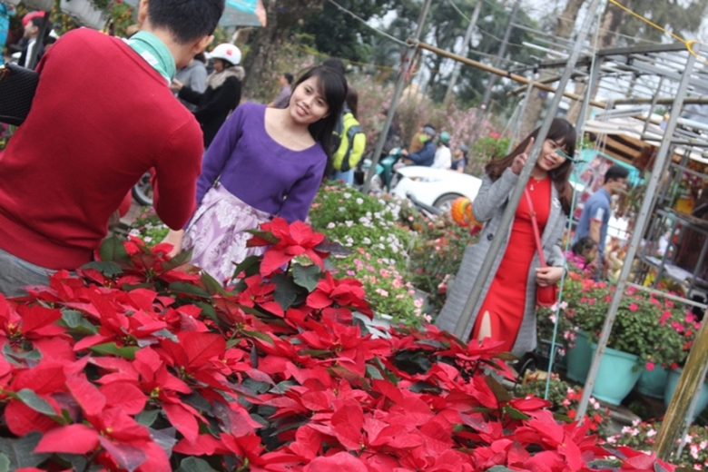 Anh- Thieu- nu- e- ap- rang- ngoi- ben- hoa- Xuan-