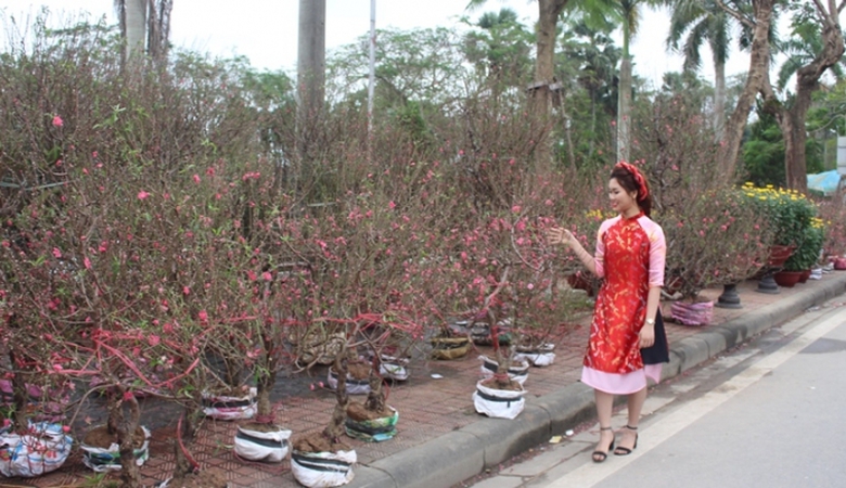 Anh- Thieu- nu- e- ap- rang- ngoi- ben- hoa- Xuan-