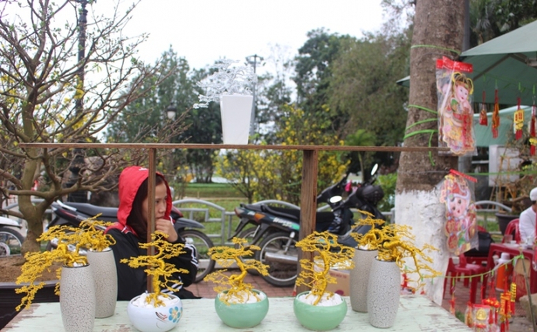 Bonsai- canh- vang- la- ngoc- cuc- doc- tai- cho- 