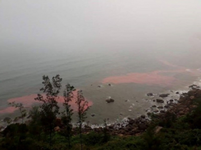 Vet- nuoc- mau- do- tai- vung- bien- Lang- Co- Da-