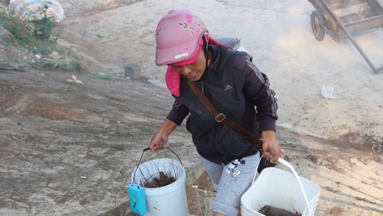 T&ocirc;m- hum- cap- ben- Cua- Tung- 9