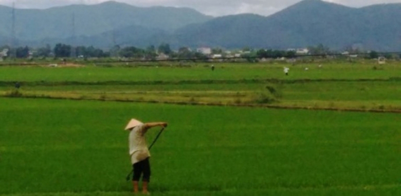 Dang- dam- lua- nguoi- phu- nu- bi- set- danh- thu