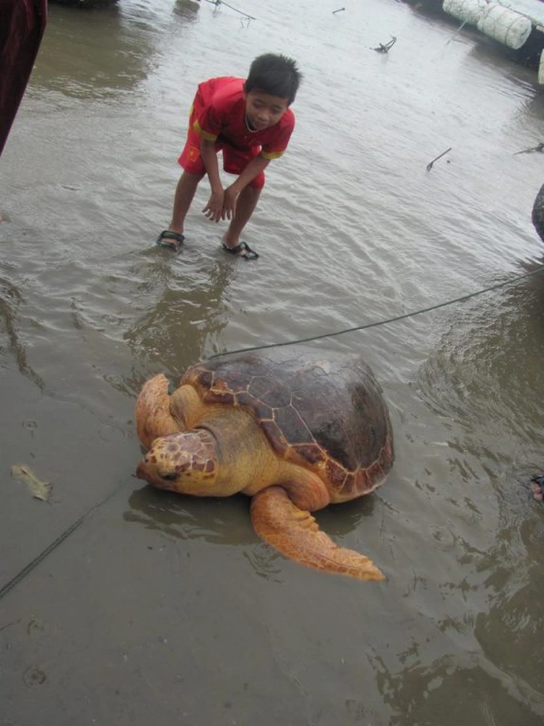 Tha- cu- rua- quy- hiem- gan- 70kg- ve- lai- voi- 