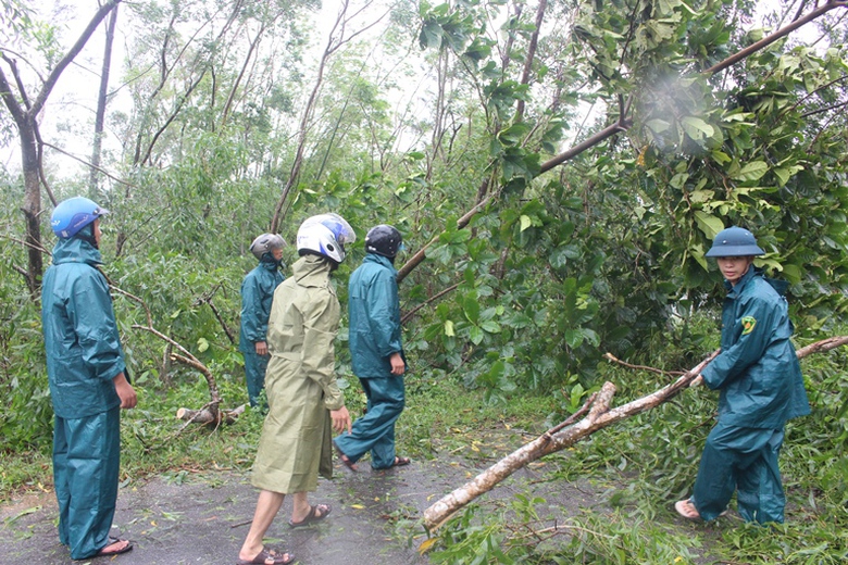 Cay- xanh- gay- do- chan- duong- CSGT- Dan- quan- 