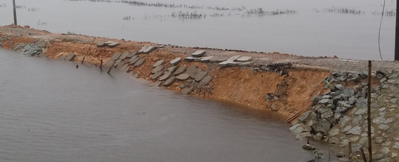 De- ngan- lu- vua- thi- cong- da- hong- do- mua- t