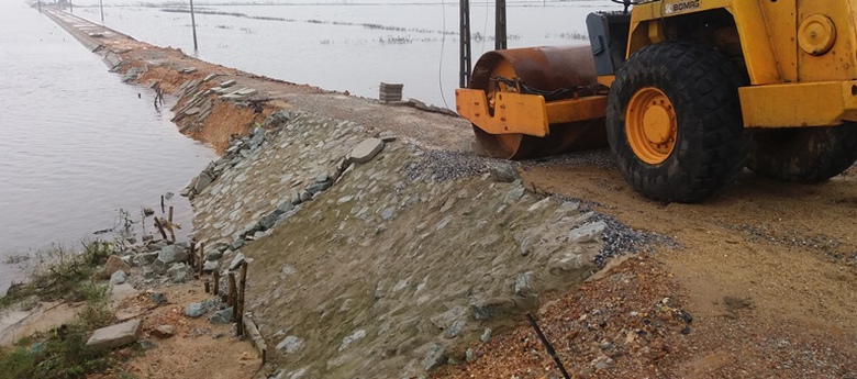 De- ngan- lu- vua- thi- cong- da- hong- do- mua- t