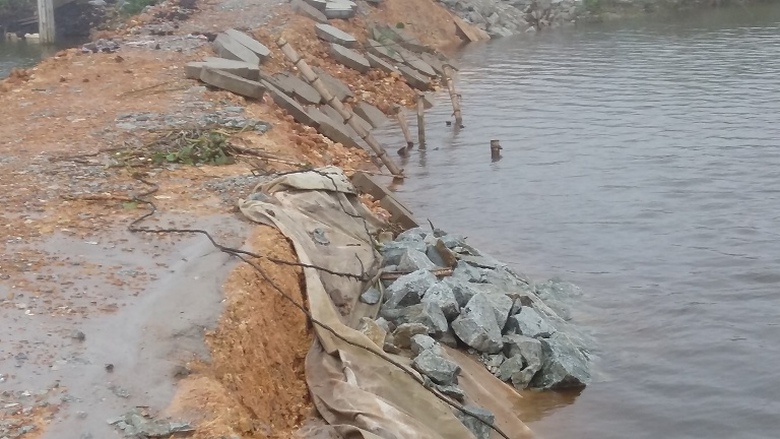 Chu- tich- tinh- yeu- cau- bao- cao- vu- de- vua- 