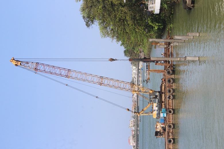 Pho- di- bo- lat- go- lim- phia- Nam- dong- song- 