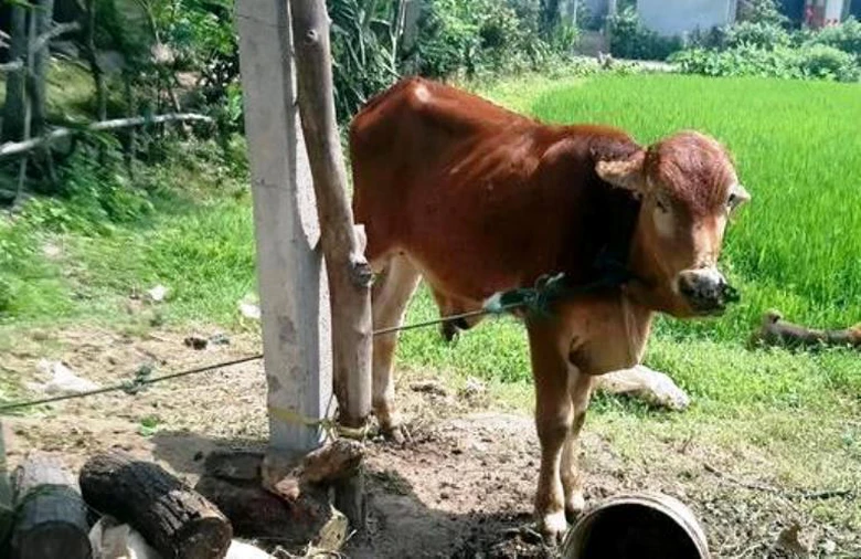 Thanh- tra- toan- dien- vu- bo- chinh- sach- lac- 