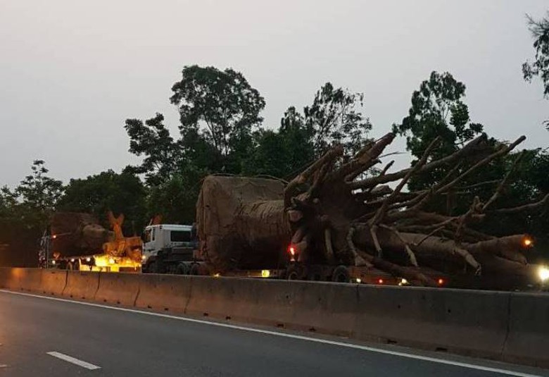 3- xe- dau- keo- cho- cay- nhu- quai- thu- bi- pha