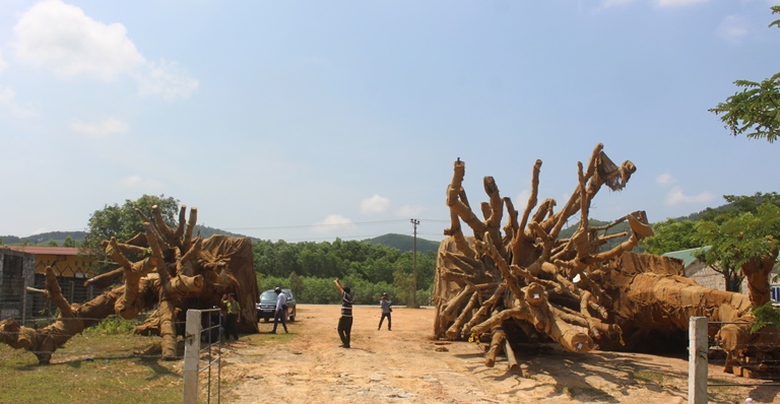 Chu- cay- khung- nhu- quai- thu- la- mot- thanh- n