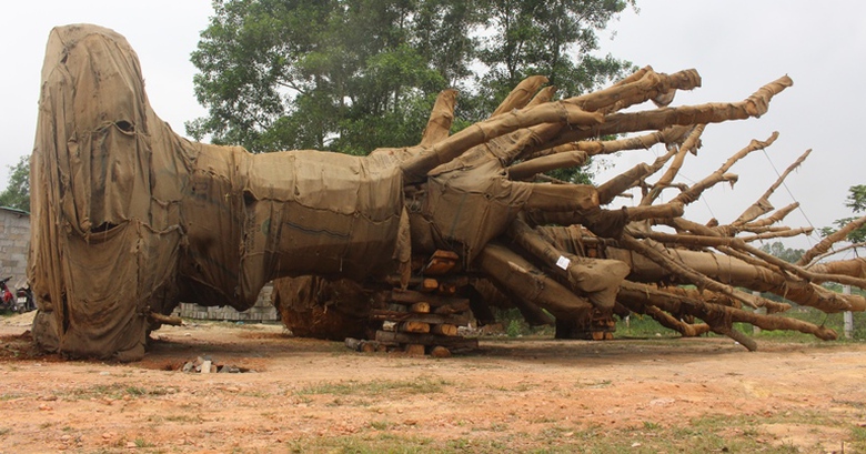 Kiem- lam- xu- ly- the- nao- voi- 3- cay- khung- n