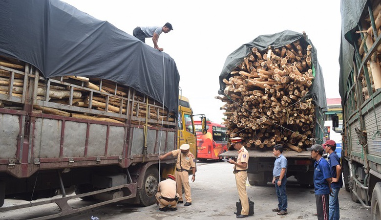 Tam- giu- 4- xe- cho- go- tram- qua- kho- tai- xe-