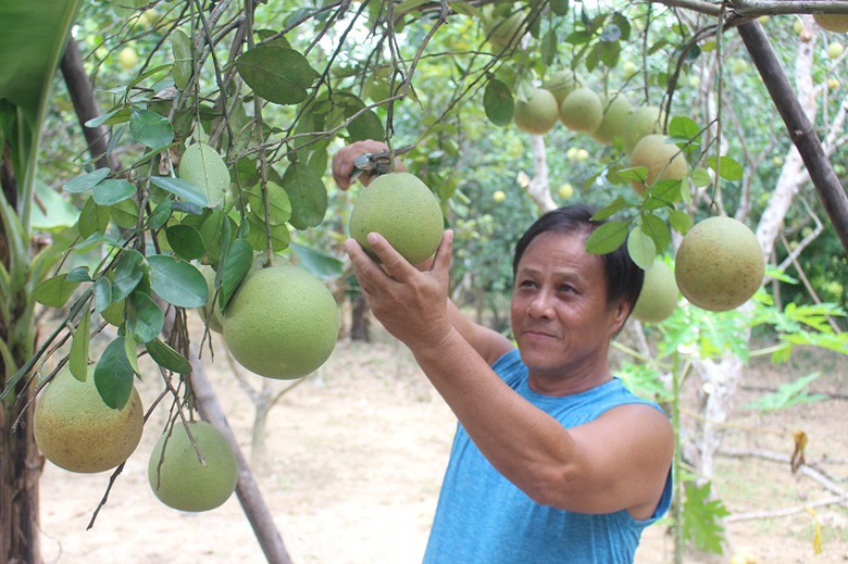 Khai- hoi- thanh- tra- dac- san- tien- vua- o- Hue
