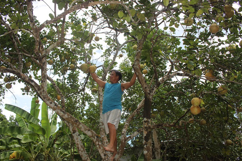 Khai- hoi- thanh- tra- dac- san- tien- vua- o- Hue