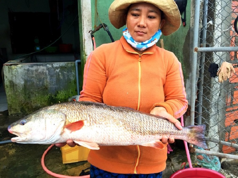 Nu- tieu- thuong- mua- duoc- con- ca- vang- ong- a