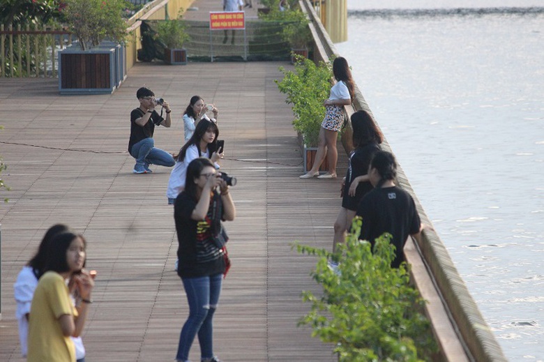 Can- canh- cay- cau- gioi- tre- ran- ran- check- i