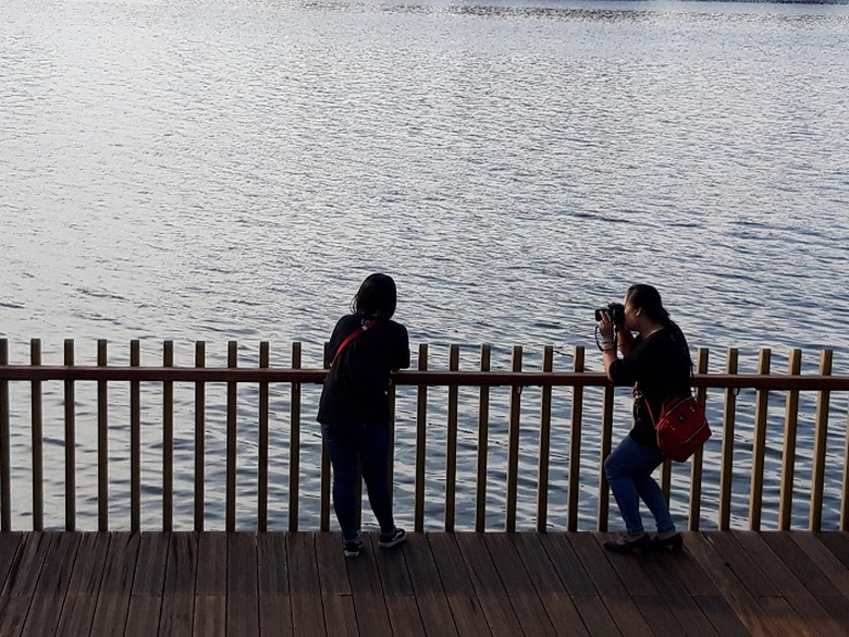 Can- canh- cay- cau- gioi- tre- ran- ran- check- i