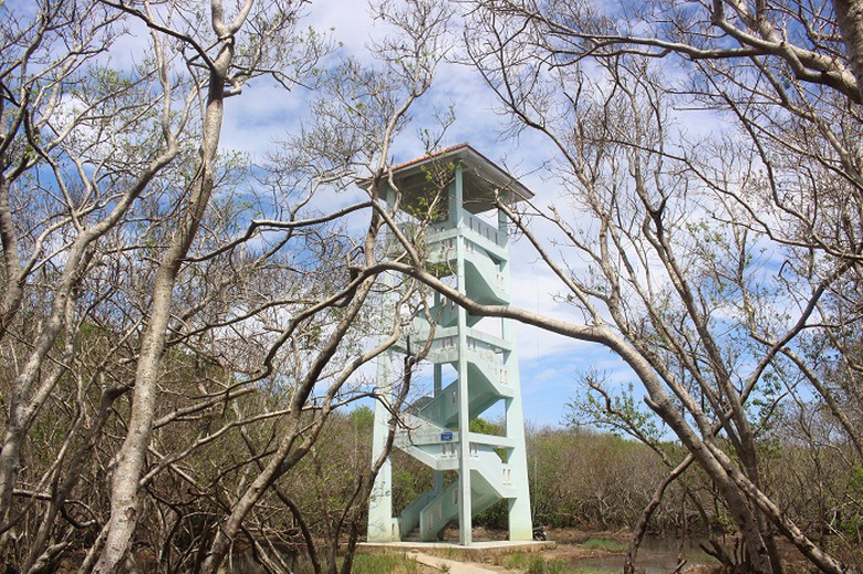 Lac- vao- Ru- Cha- 1