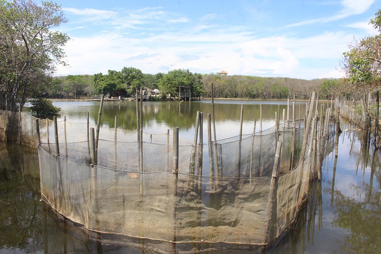 Lac- vao- Ru- Cha- 5c