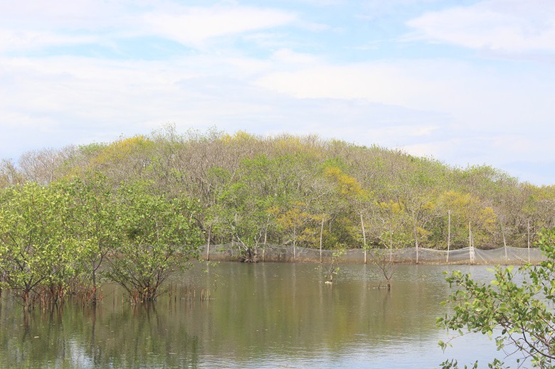 Lac- vao- Ru- Cha- 6