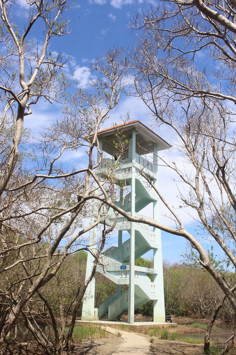 Lac- vao- Ru- Cha- 12