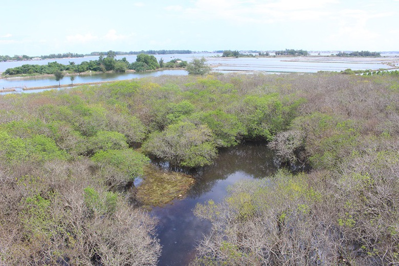 Lac- vao- Ru- Cha- 14