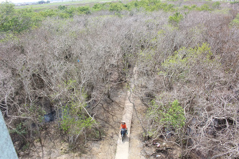 Lac- vao- Ru- Cha- 15