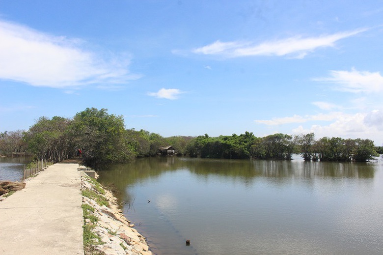 Lac- vao- Ru- Cha- 16