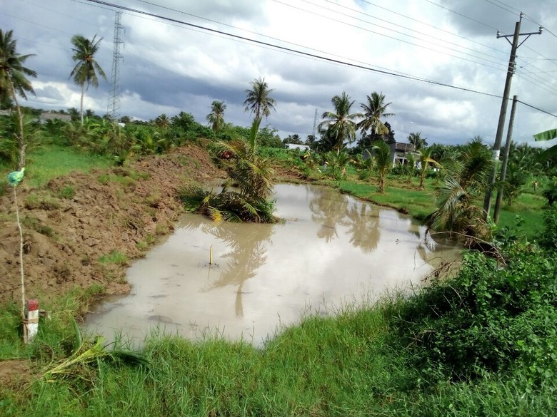 z699578657975_b005f2a552f29e855d46ae31f2017dce