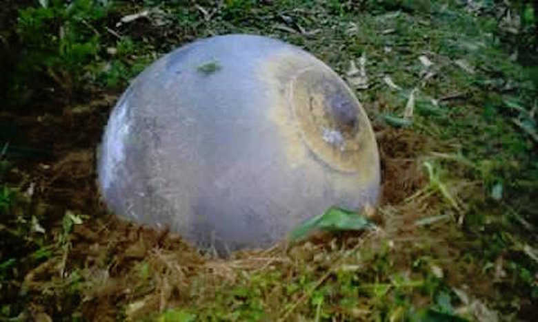 vat-the-la-o-tuyen-quang